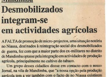 Desmobilizados em Mandimba integram-se em actividades agrícolas – 15 de Setembro de 1997