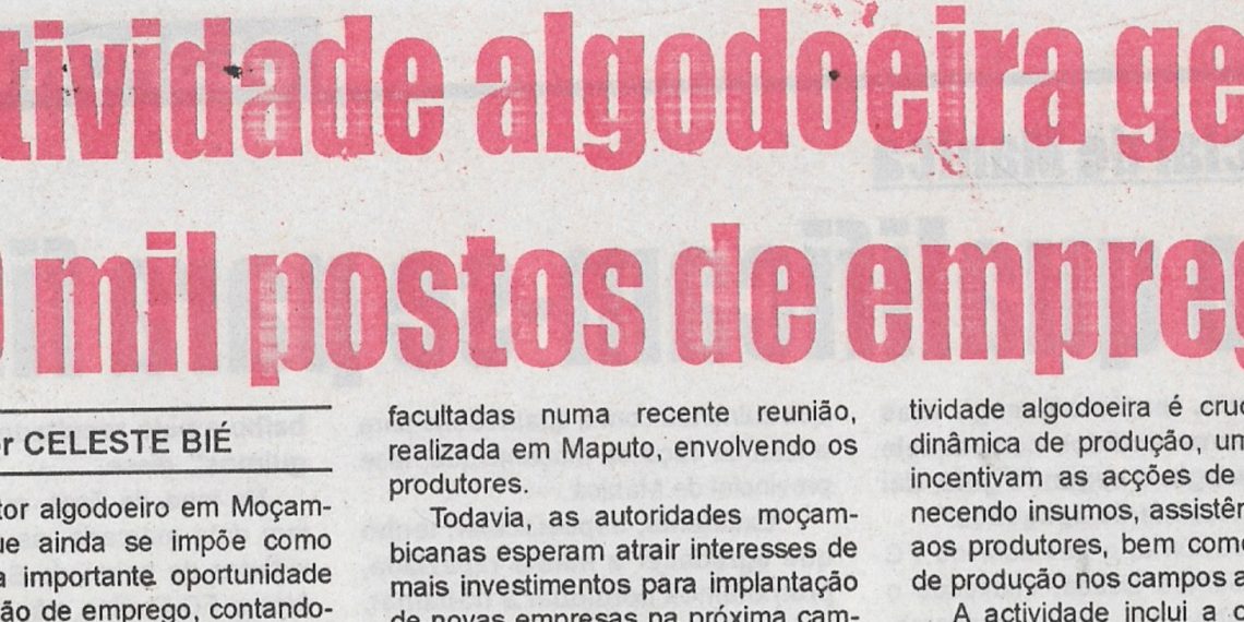 Actividade algodoeira gera 30 mil postos de emprego – 07 de Junho de 2022