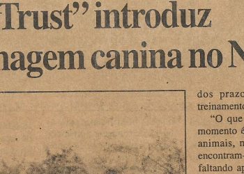 “Halo Trust” introduz desminagem canina no Norte – 08 de Janeiro de 2002