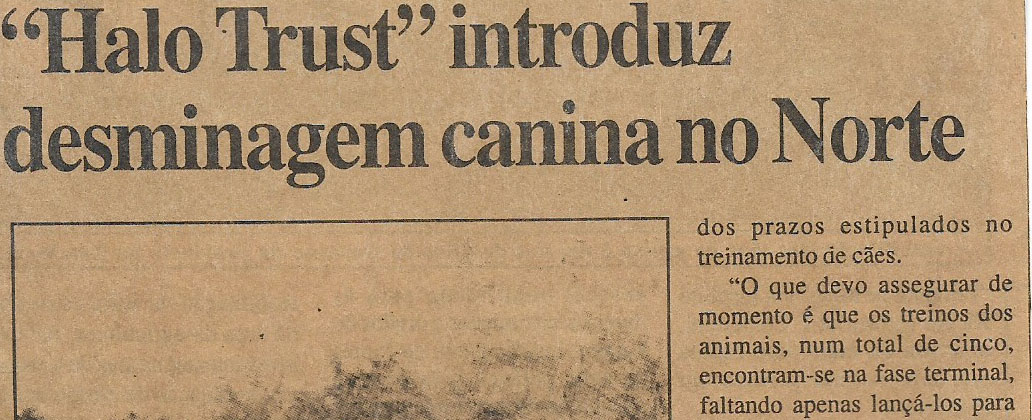 “Halo Trust” introduz desminagem canina no Norte – 08 de Janeiro de 2002