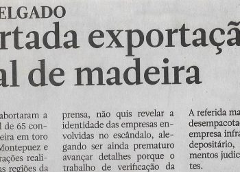 Cabo Delgado: Abortada exportação ilegal de madeira – 12 de Agosto de 2022