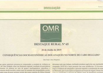 Consequências socio-económicas dos ataques no norte de Cabo Delgado – 26 de Junho de 2019
