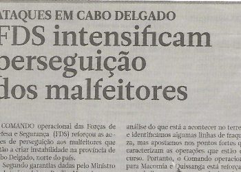 FDS intensificam perseguição dos malfeitores – 11 de Junho de 2018