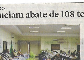 Em Cabo Delgado: FDS anunciam abate de 108 terroristas – 30 de Outubro de 2020