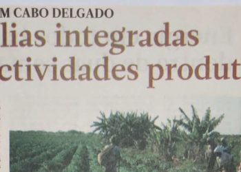 Famílias integradas em actividades produtivas – 08 de Abril de 2019