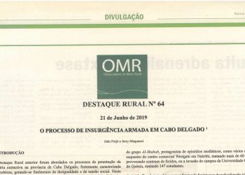 O processo de insurgência armada em Cabo Delgado – 21 de Junho de 2019