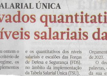 Tabela Salarial Única: Aprovados quantitativos dos níveis salariais das FDS – 25 de Janeiro de 2023