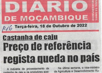 Castanha de Caju: Preço de referência regista queda no país – 18 de Outubro de 2022