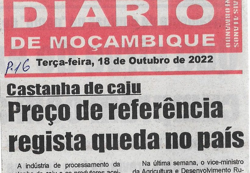 Castanha de Caju: Preço de referência regista queda no país – 18 de Outubro de 2022