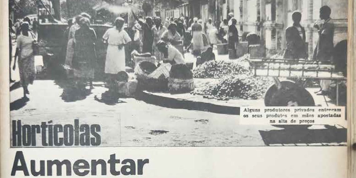 Hortícolas: Aumentar a agressividade dos “barateiros” – 31 de Agosto de 1986