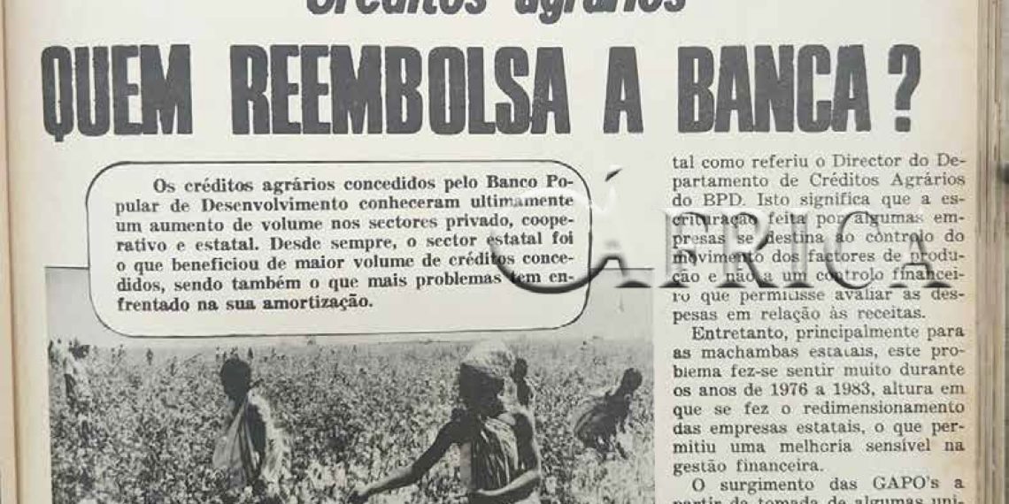 Créditos agrários: Quem reembolsa a banca? – 31 de Agosto de 1986