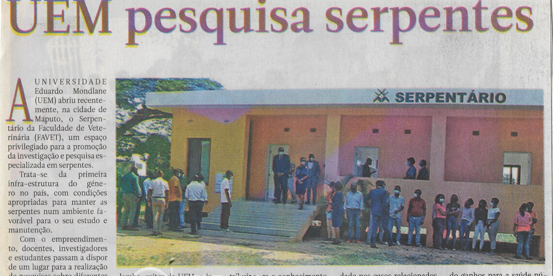 Universidade Eduardo Mondlane pesquisa serpentes – 29 de Março de 2022