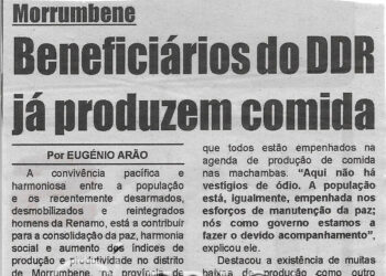 Morrumbene: Beneficiários do DDR já produzem comida – 14 de Julho de 2023 (Diário de Moçambique)