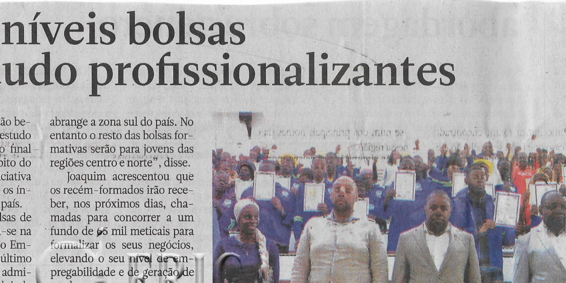 Disponíveis bolsas de estudo profissionalizantes – 20 de Julho de 2023 (Notícias)