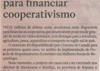Disponíveis fundos para financiar cooperativismo – 11 de Novembro de 2022 (Jornal Notícias)