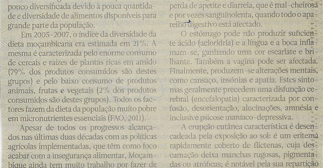 Sobre insegurança alimentar – 07 de Dezembro de 2022 (Jornal Notícias)