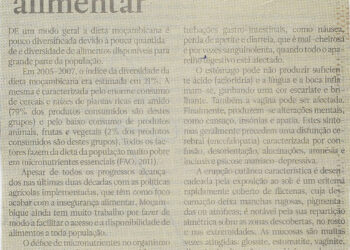 Sobre insegurança alimentar – 07 de Dezembro de 2022 (Jornal Notícias)