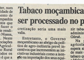 Tabaco moçambicano poderá ser processado no país – 08 de Junho de 2002 (Notícias)