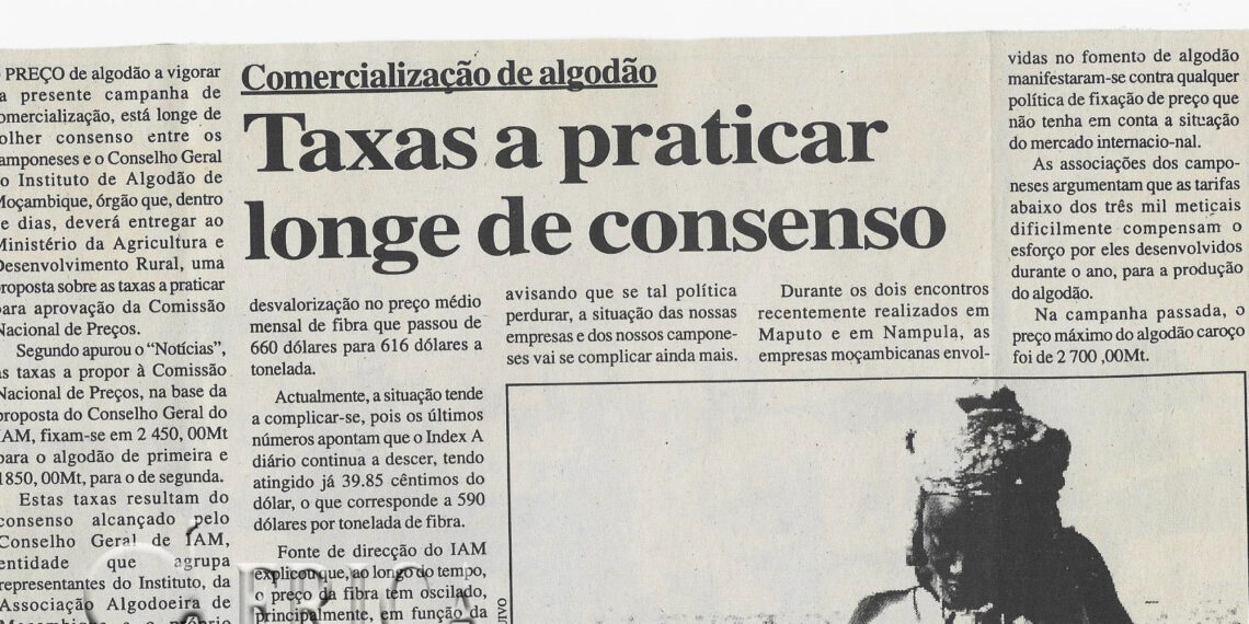 Comercialização de algodão: Taxas a praticar longe de consenso – 18 de Junho de 2002 (Notícias)