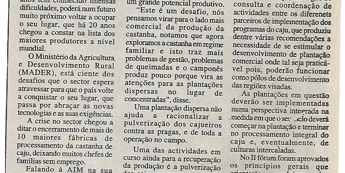 Produção de cajú poderá ocupar lugar de destaque – 01 de Maio de 2002 (Notícias)