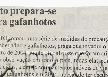 Egipto prepara-se contra gafanhotos – 01 de Outubro de 2005 (Notícias)