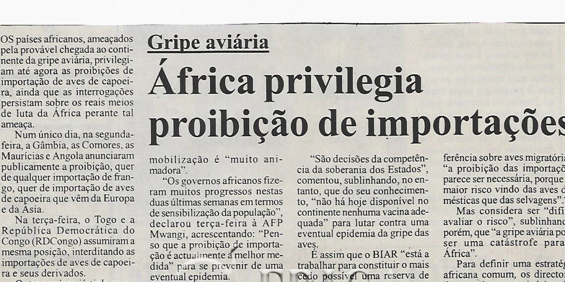 Gripe aviária: África privilegia proibição de importações – 27 de Outubro de 2005 (Notícias)