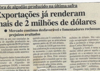 Fibra de algodão produzido na última safra: Exportações já renderam mais de 2 milhões de dólares – Mercado continua desfavorável e fomentadores reclamam prejuízos avultados – 20 de Janeiro de 2000