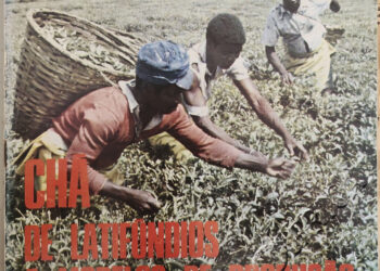 Chá de latifúndios a modelos de produção – 5 de Agosto de 1979