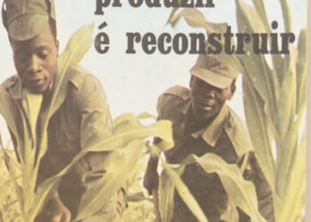Forças Populares de Libertação de Moçambique (FPLM): produzir é reconstruir – 08 de Fevereiro de 1976