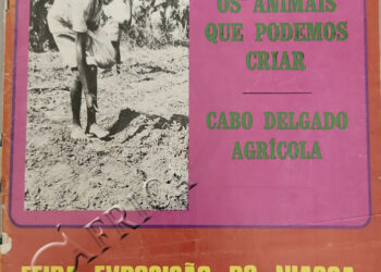 Os animais que podemos criar: Cabo Delgado agrícola – 8 de Outubro de 1978