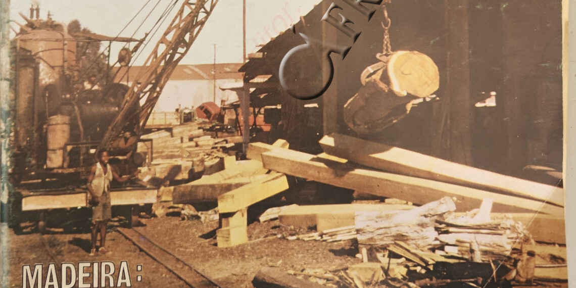 Madeira: Quanto custa a espera? – 10 de Agosto de 1980