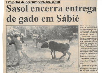 Projectos de desenvolvimento social: Sasol encerra entrega de gado em Sábiè – 26 de Agosto de 2004