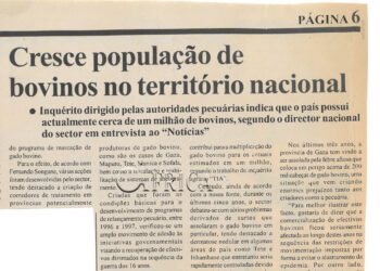 Cresce população de bovinos no território nacional: Inquérito dirigido pelas autoridades pecuárias indica que o país possui actualmente cerca de um milhão de bovinos, segundo o director nacional do sector em entrevista ao “Noticias” – 01 de Novembro de 2004