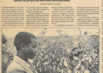 Em Cabo Delgado: Camponeses reduzem áreas de cultivo de algodão – O facto deve-se a dificuldades de comercialização originadas pela queda de preços no mercado internacional – 08 de Março de 2000