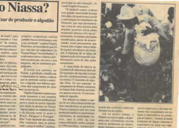 Producäo de algodão em crise no Niassa? As autoridades não afastam a hipotese e os lavradores, cépticos, dizem que deixar de produzir o algodão “é como perder parte de nós mesmos” – 11 de Setembro de 2000