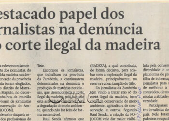 Destacado papel dos jornalistas na denúncia do corte ilegal da madeira – 07 de Dezembro de 2018